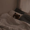 teddy27